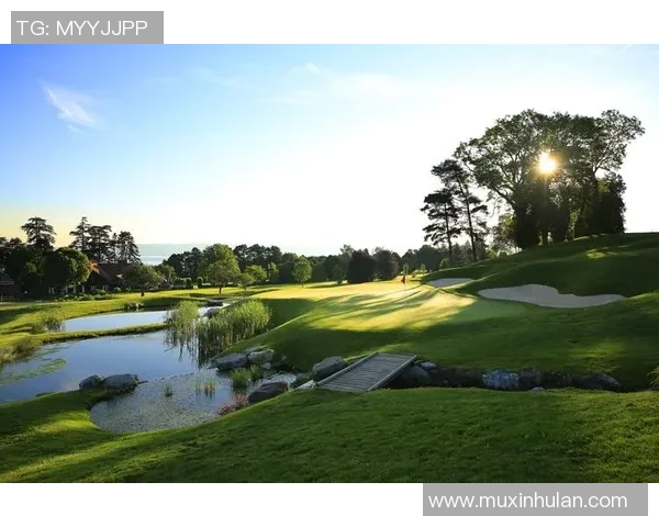 陈秀英专访:从球场到人生的启示与成长之路